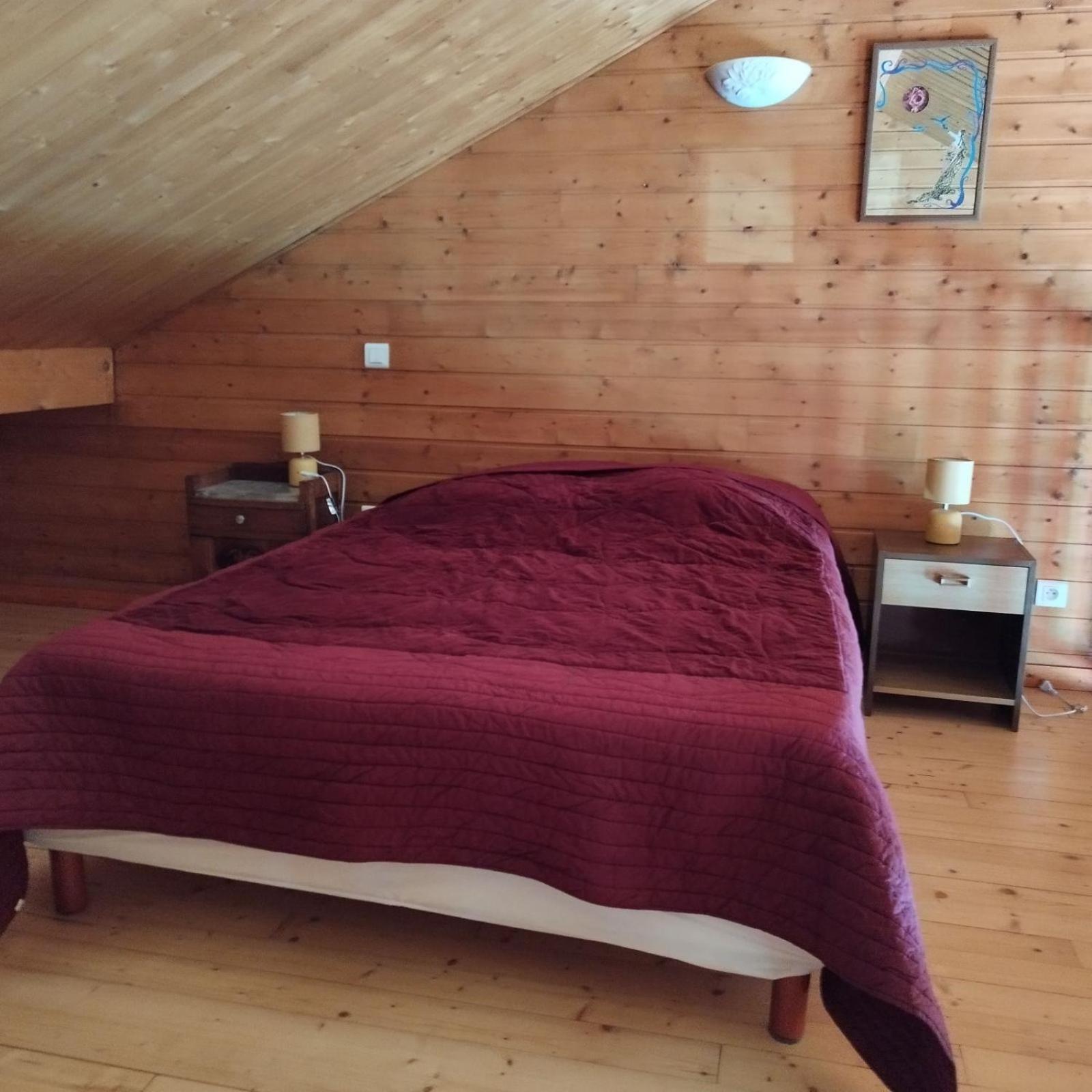 Chalet Les Adrets Du Sancy Saint-Diery Esterno foto